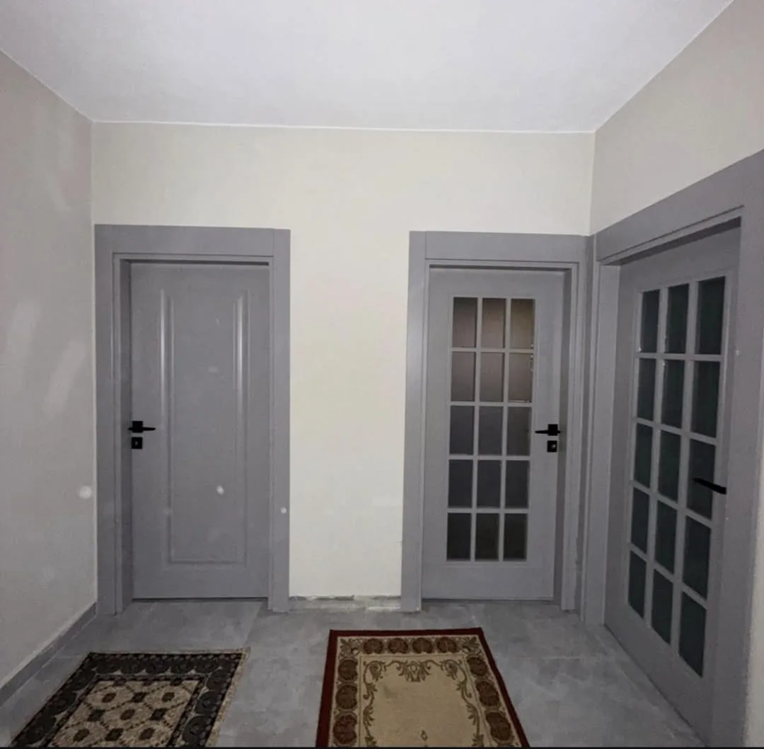 Gri renkli camlı ve camsız apartman dairesi kapıları