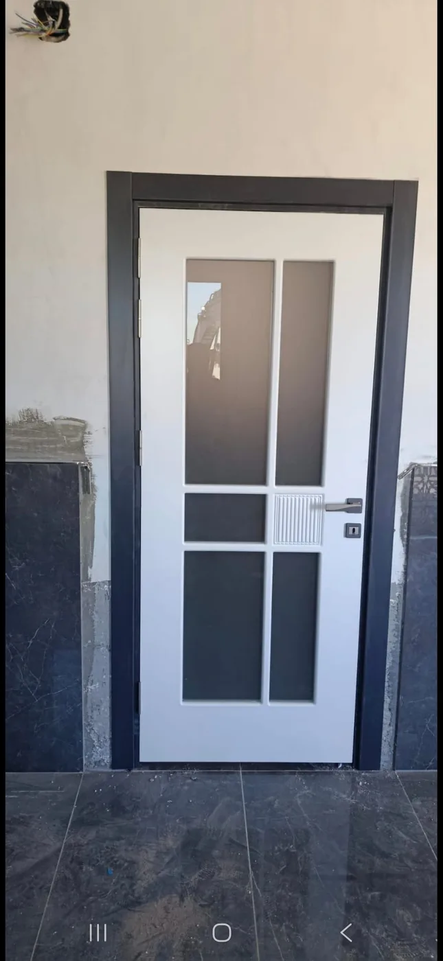 Tek kanatlı camlı kapı modeli