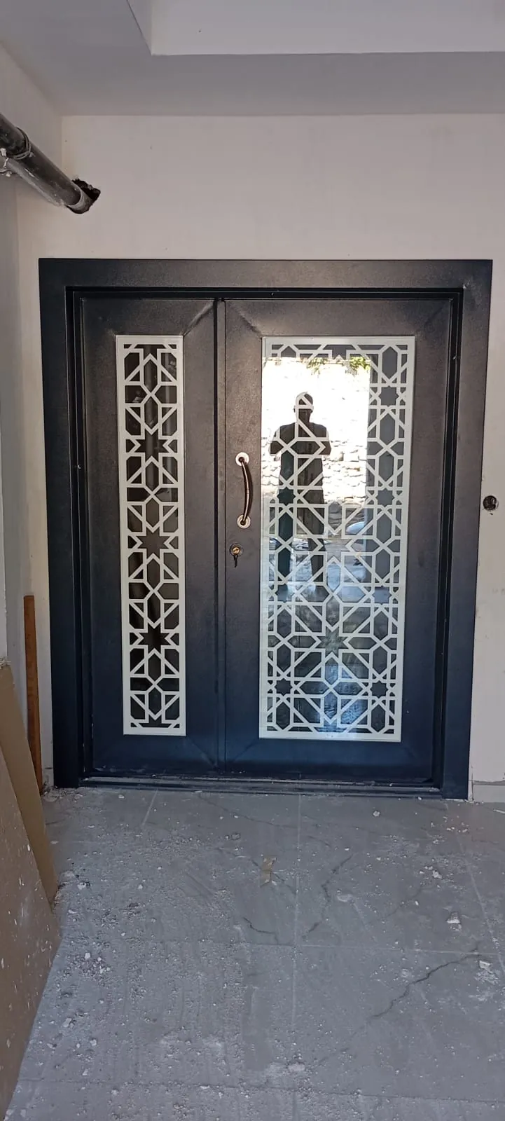 Yavru kanatlı camlı bina giriş kapısı — Bina Giriş Kapısı